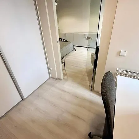 Laisves Aleja Apartment *